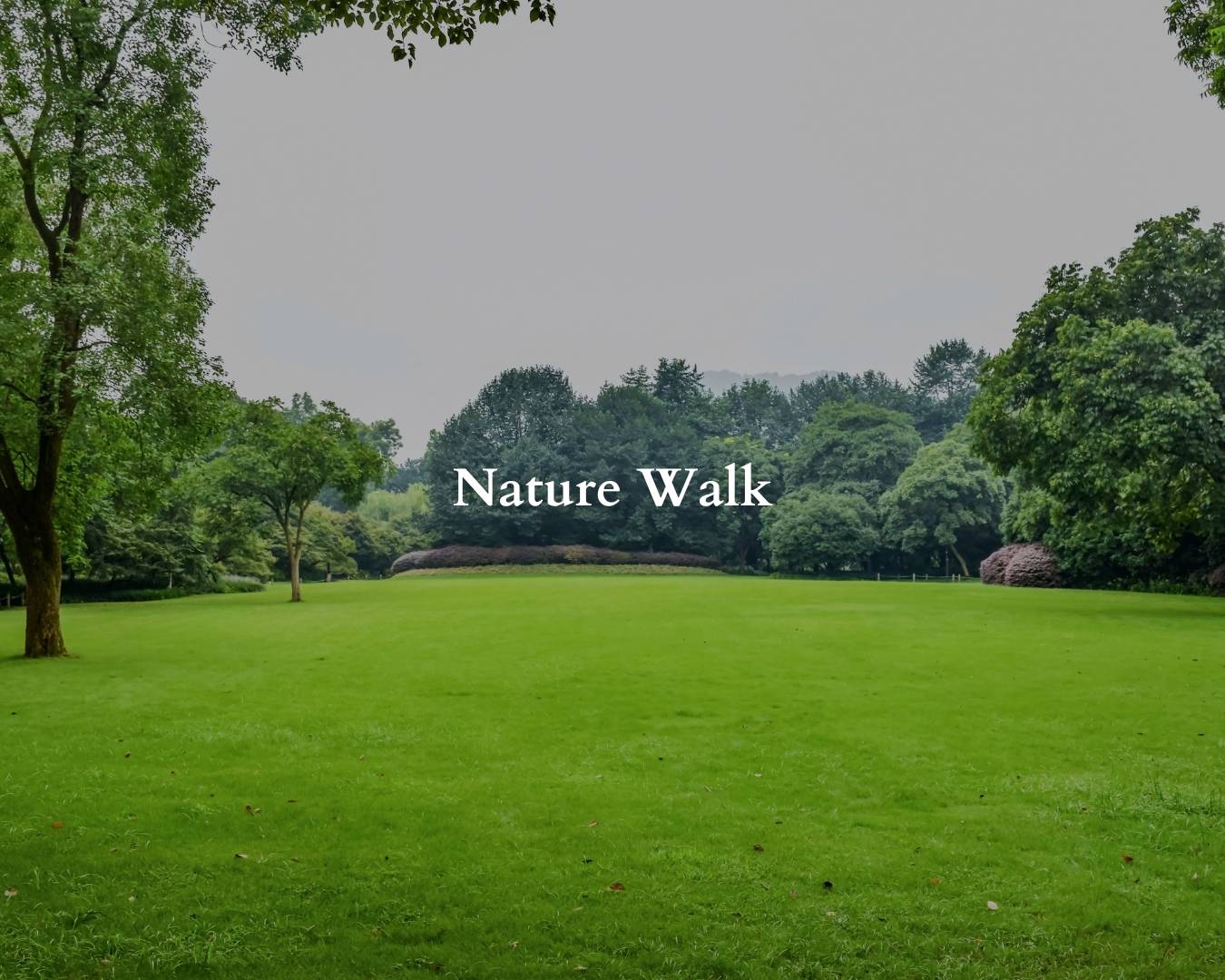 Nature Walk