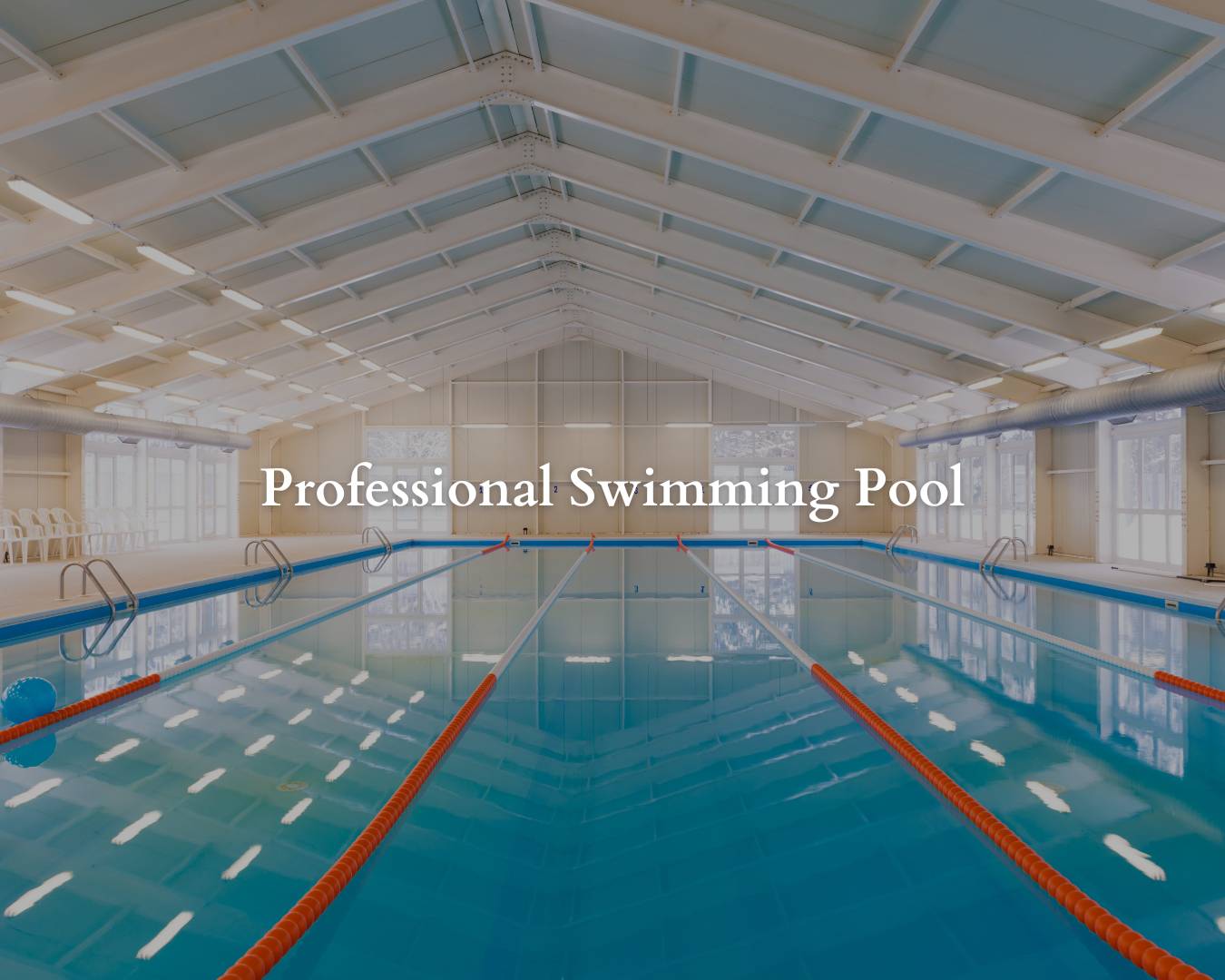 Professional Swimming Pool